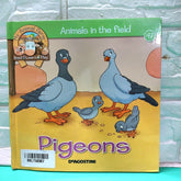 Pigeons - BKLT50987