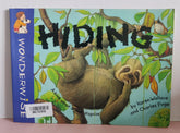 Hiding - BKLT51912