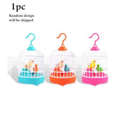 Taking Parrot 1Pc Random Design Will Be Shipped - EKT3478