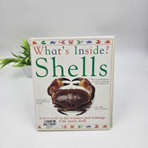Whats Inside The Sheel - BKLT40307