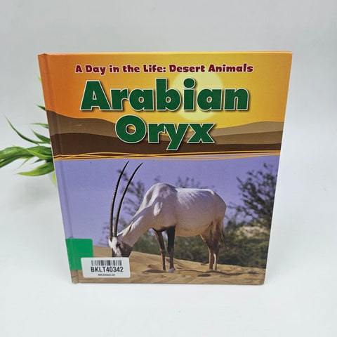 Arabian Oryx - BKLT40342