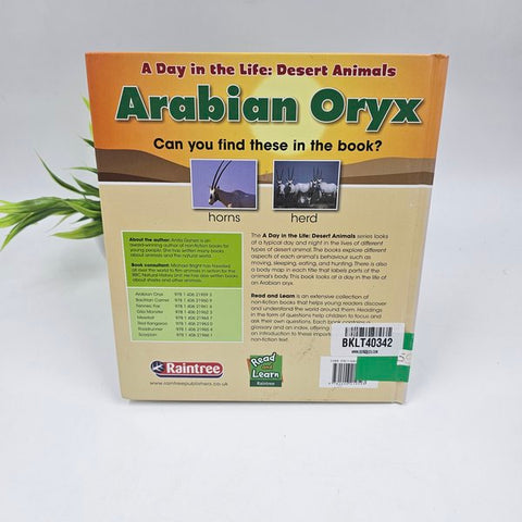 Arabian Oryx - BKLT40342