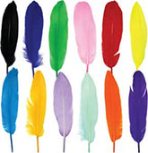 Feather Hard - Big - Multi Color - 10 pc random color will be shipped - EKC2013