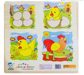 Wooden puzzle life cycle of Cock - EKT2570