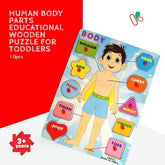 Wooden Human Body Peg board - EKT2669