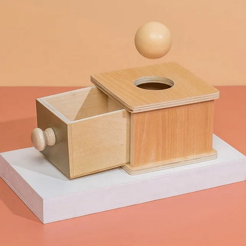 Wooden Monesoori Ball Tray - EKT3088
