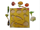 Wooden Vegetable Learning Educational Knob Tray - EKW0087