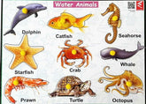 Extrokids sea animal learning- puzzle board - EKW0188