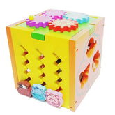 Multifunctional Advanced Shape Sorter - EKT0107