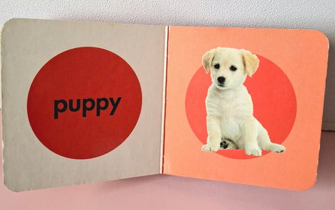 Pets - BKLT50004