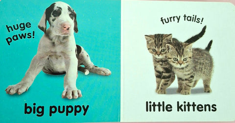 Puppies Kittens - BKLT50011