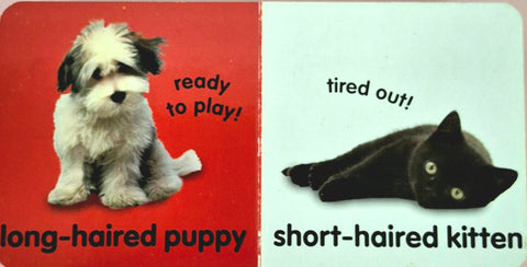 Puppies Kittens - BKLT50011