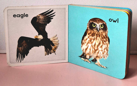 Birds - BKLT50018
