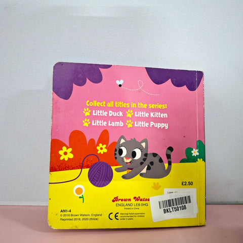 Little Kitten - BKLT50108