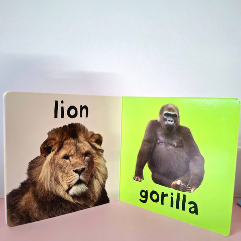 Zoo Bright Toddler - BKLT50169