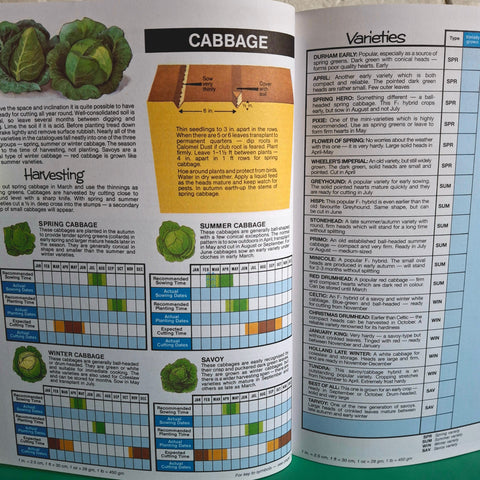 The Expert Vegetable Note Book - BKLT50369