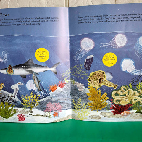 Sharks Sea Horses And Other British Sea Creatures - BKLT50377