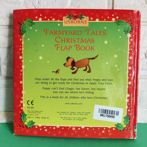 Farmyard Tales Chirtmas - BKLT50456