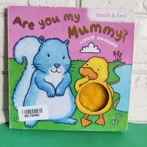 Are You My Mummy - BKLT50465