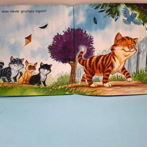 The Grumpy Cat - BKLT50514