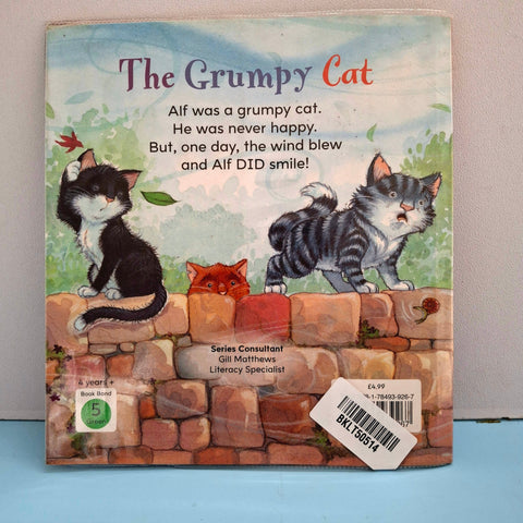 The Grumpy Cat - BKLT50514