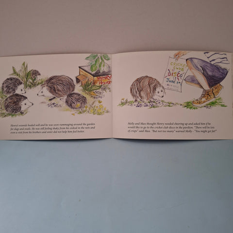 The Adventure Of Hendry The Hairy Hedge Hog - BKLT50654