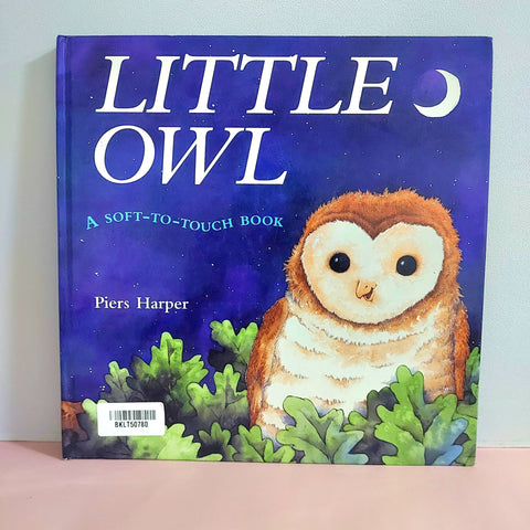 Little Owl - BKLT50780