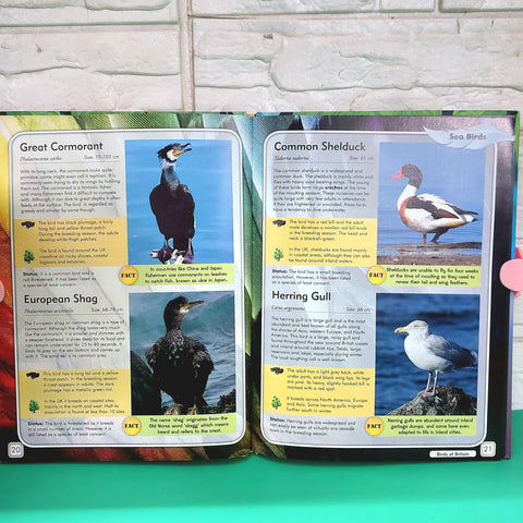 Birds A Pictorial Reference - BKLT50816