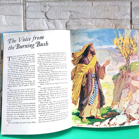 The Bible Of Childrens - BKLT50834