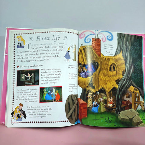 Princess The Exsential Guide - BKLT50841