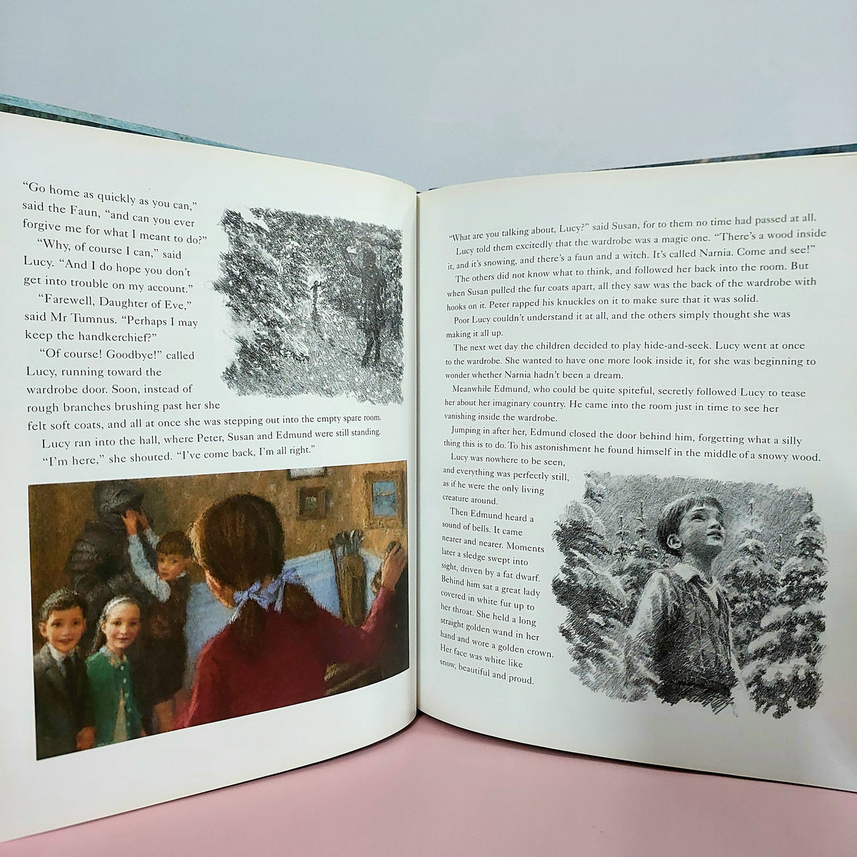The Lion The Witch And The Wordrobe - BKLT50847
