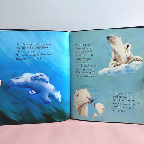 Big Bear Little Bear - BKLT50848