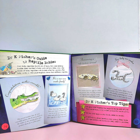 About Reptiles - BKLT50865