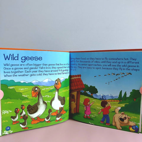 Animal Of The Farm Geese - BKLT50876