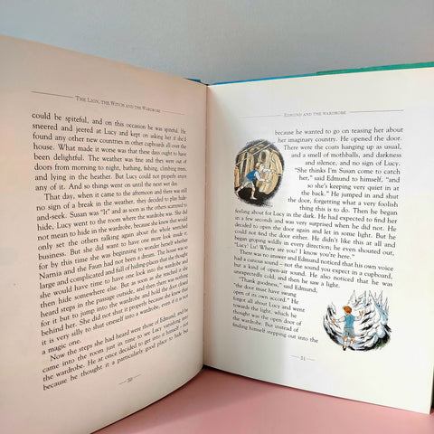 The Lion The Witch And The Wordrobe - BKLT50927