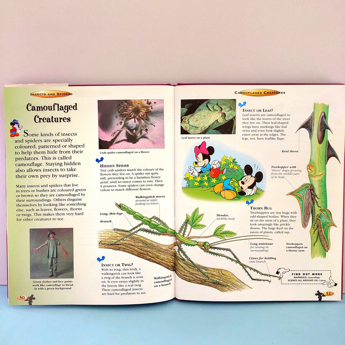 Insects And Spiders - BKLT50935