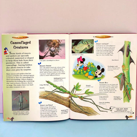 Insects And Spiders - BKLT50935