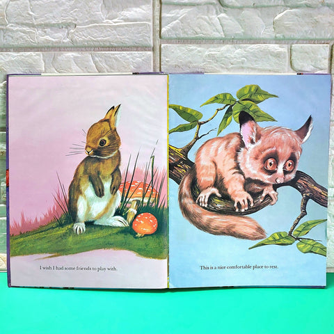 Baby Animals - BKLT50946