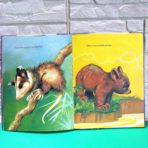 Baby Animals - BKLT50946