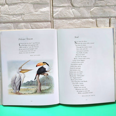 Childrens Poetry - BKLT50948