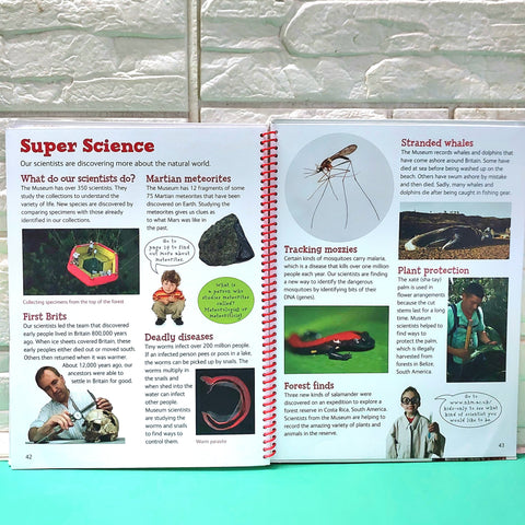 Naturals History Museam - BKLT50954