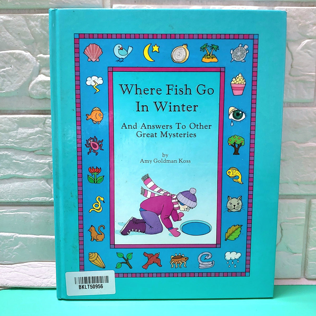 Where Fish Go In Winter - BKLT50956