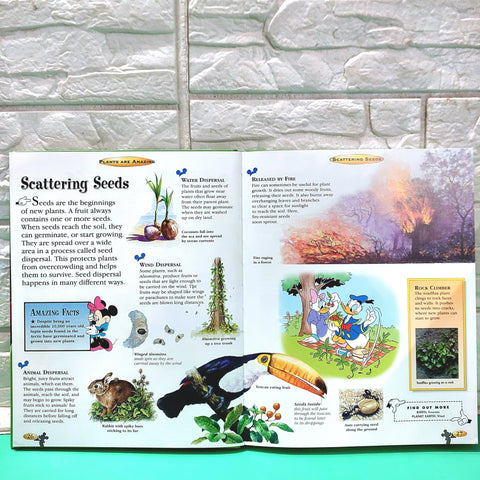 Plants Are Amazing - BKLT50965