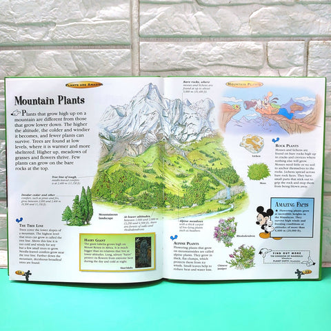 Plants Are Amazing - BKLT50965