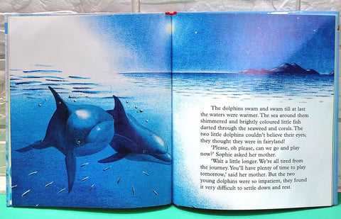 The Curious Little Dolphin - BKLT50971