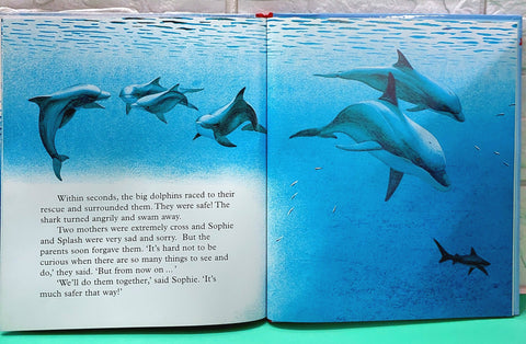 The Curious Little Dolphin - BKLT50971