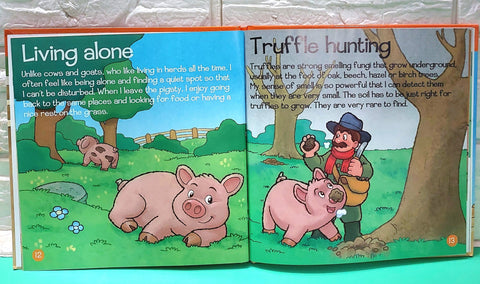 Pigs - BKLT50984