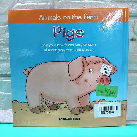 Pigs - BKLT50984