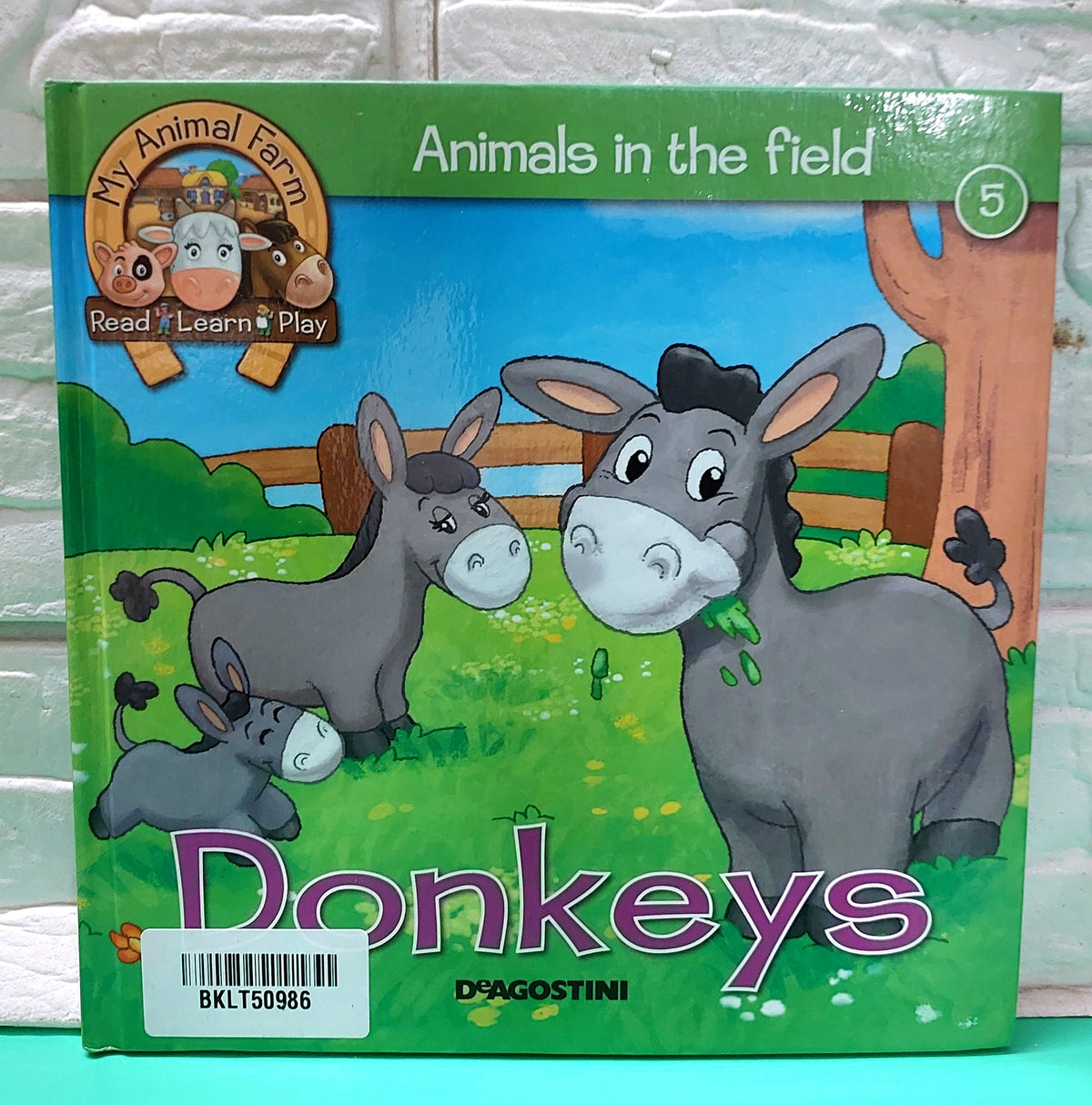 Donkeys - BKLT50986