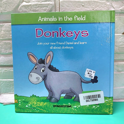 Donkeys - BKLT50986
